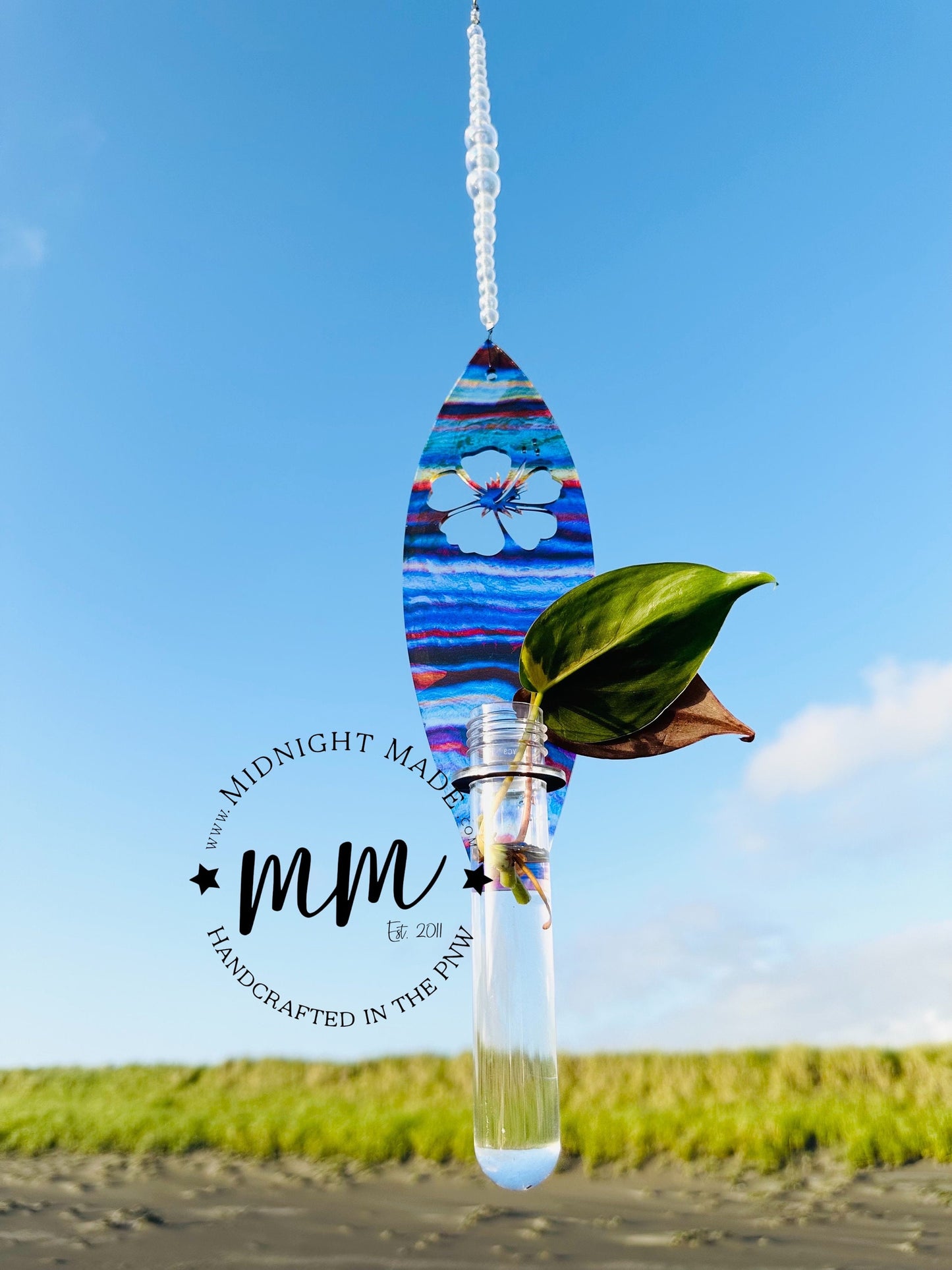 Surfing Surfboard Shape Plant Propagation Suncatcher