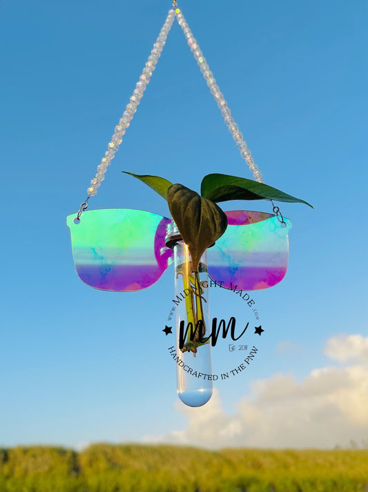Sunglasses Plant Propagation Suncatcher