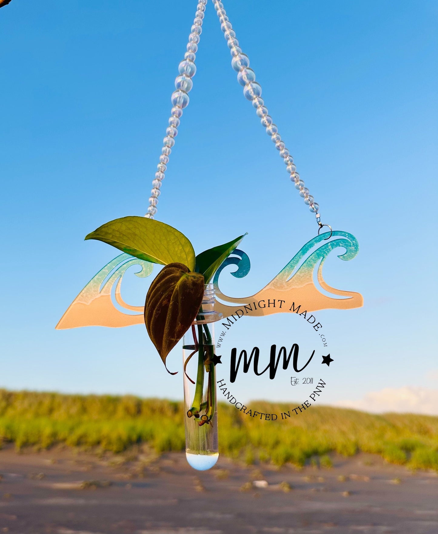 Beach Wave Shape Plant Propagation Suncatcher